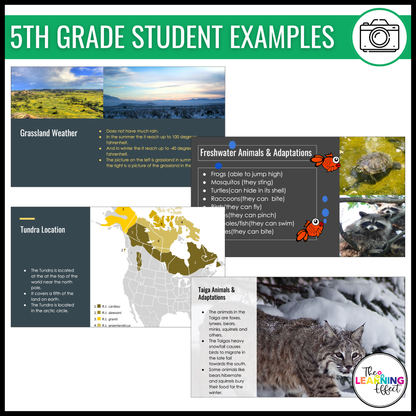 Biome Ecosystem Research Project for Google Slides | Science Activity