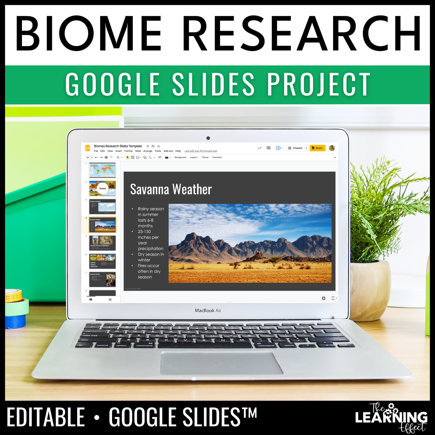 Biome Ecosystem Research Project for Google Slides | Science Activity