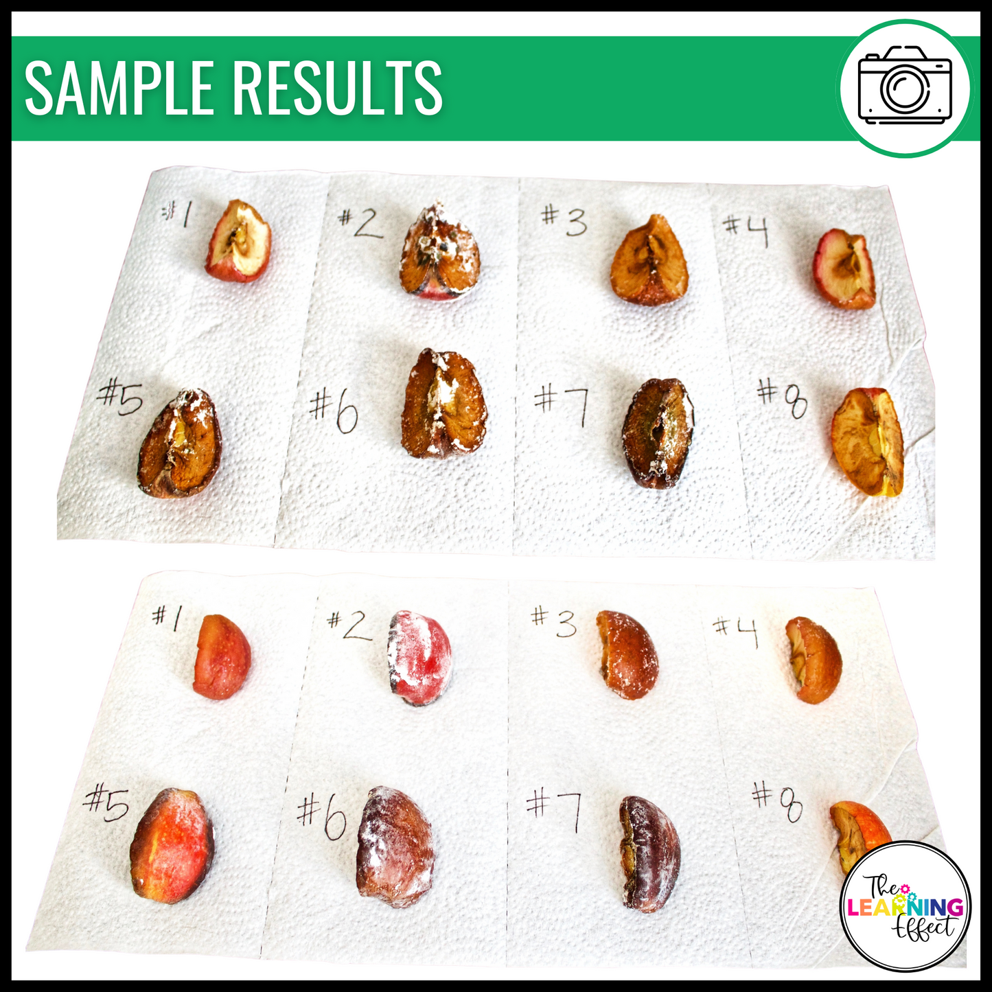 Apple Mummification Science Experiment and Scientific Method Posters