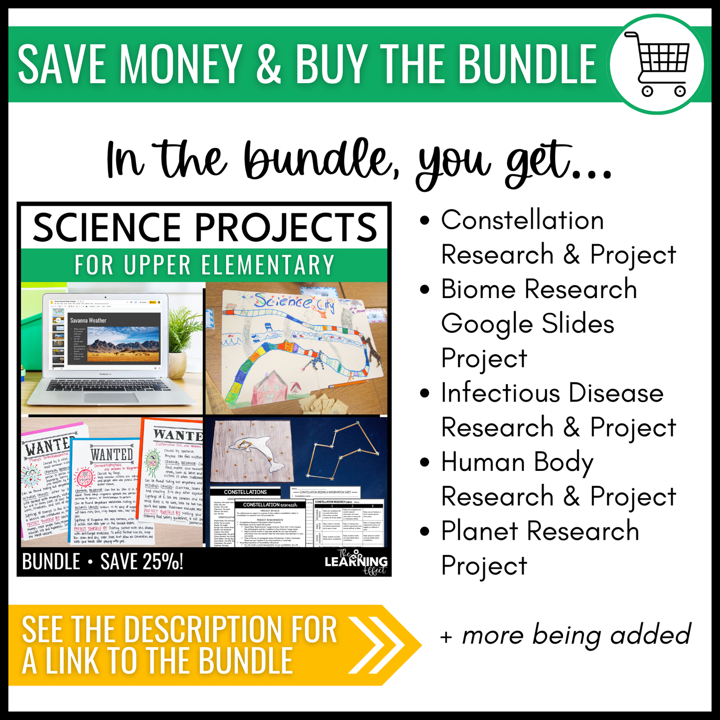 Biome Ecosystem Research Project for Google Slides | Science Activity