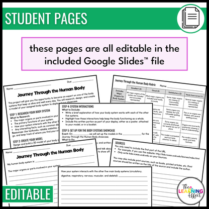 Human Body Systems Research and Model Project | Science Anatomy Activity