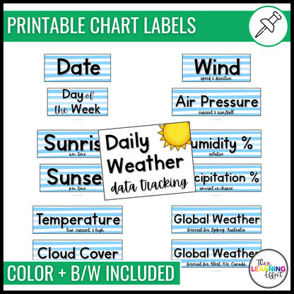 Daily Weather Tracker Data Chart | Bulletin Board Display and Log Worksheet