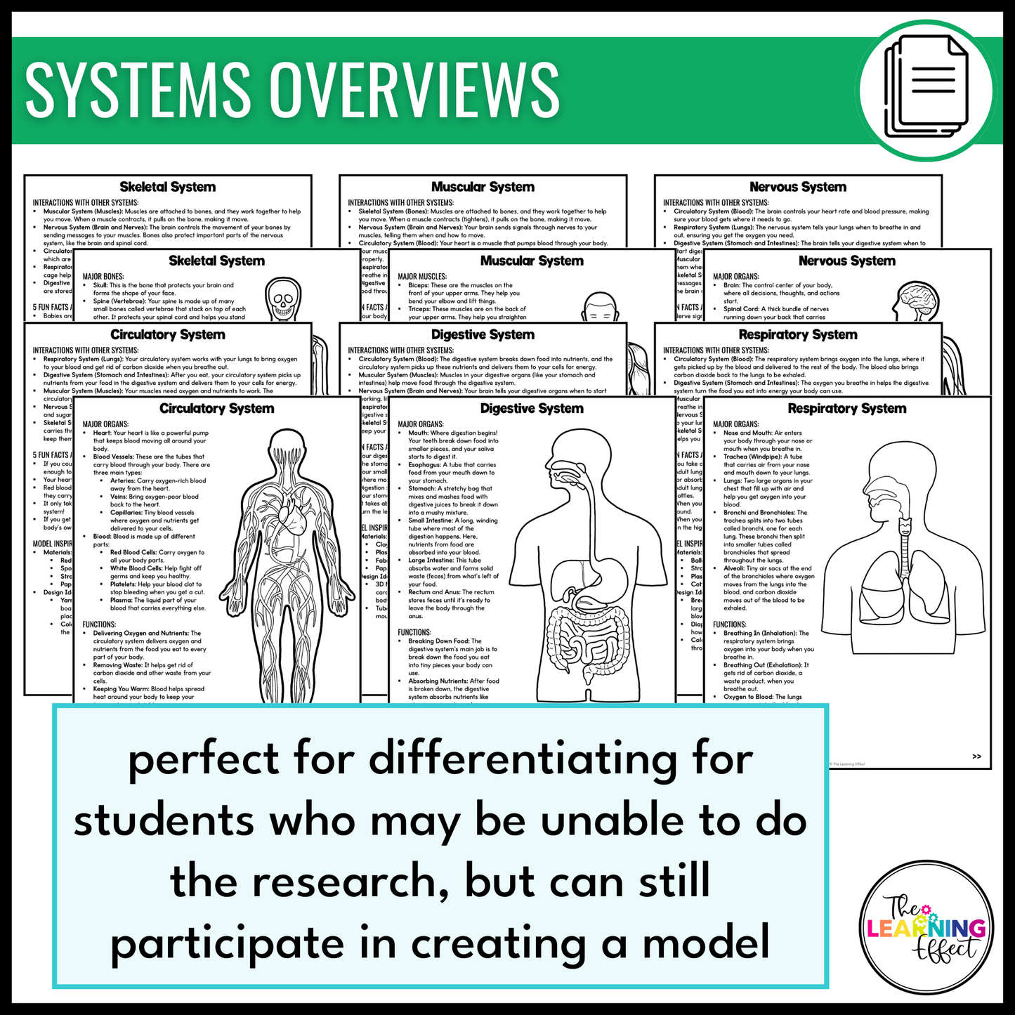 Human Body Systems Research and Model Project | Science Anatomy Activity