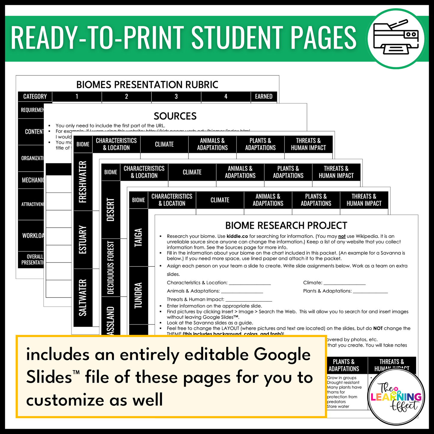 Biome Ecosystem Research Project for Google Slides | Science Activity