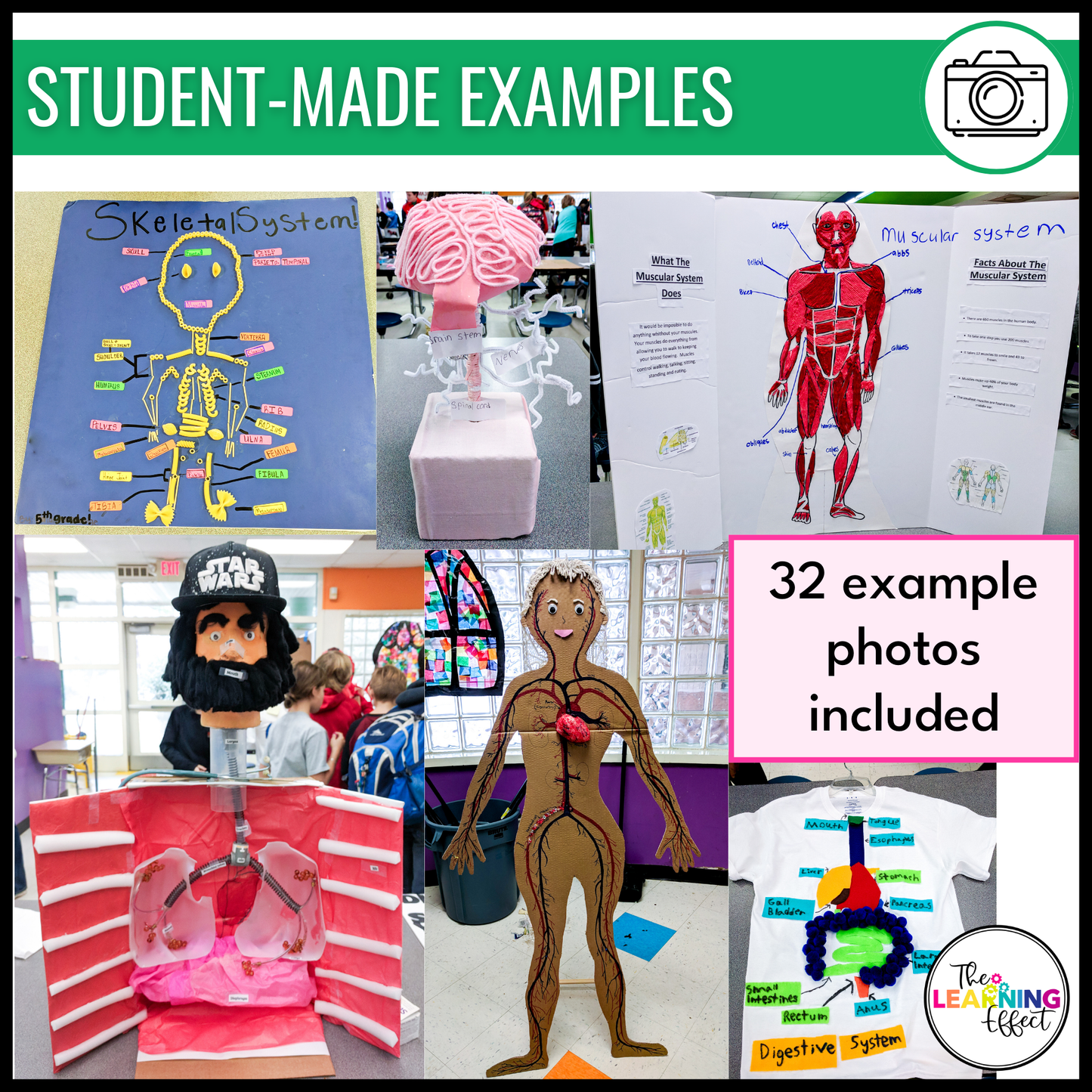 Human Body Systems Research and Model Project | Science Anatomy Activity
