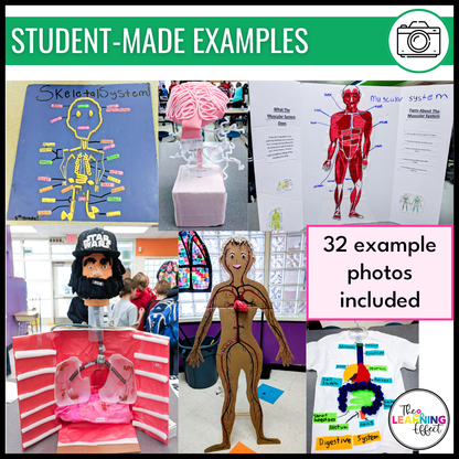 Human Body Systems Research and Model Project | Science Anatomy Activity