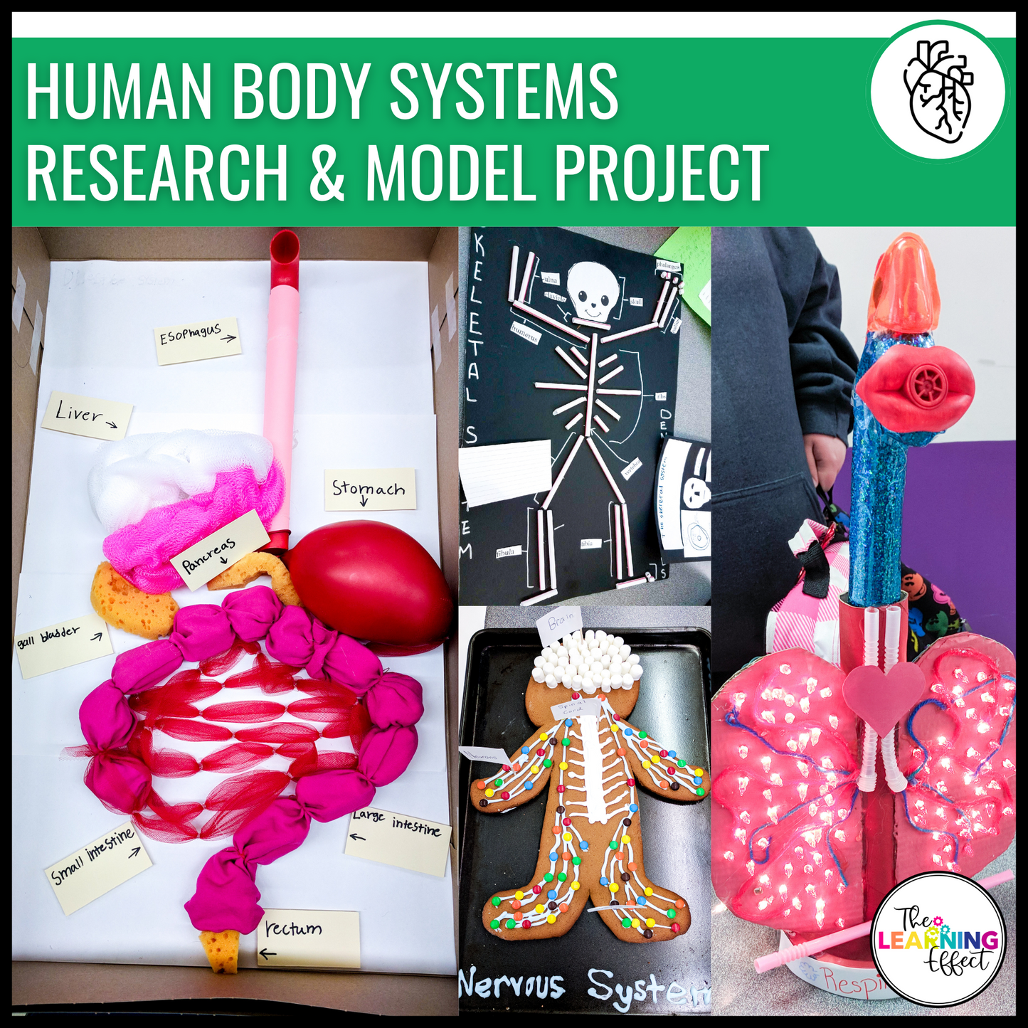 Science Projects for Upper Elementary | Research Activities for 4th, 5th, 6th Grade