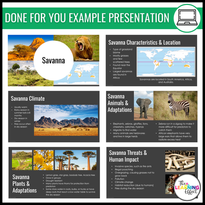 Biome Ecosystem Research Project for Google Slides | Science Activity